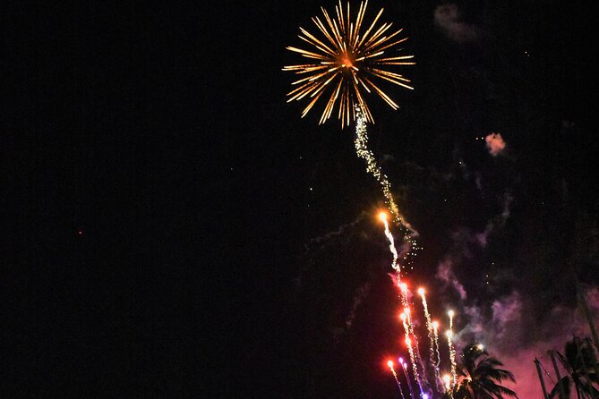 Fireworks Waikiki Gondola Cruise -lots of fun- - What the route can include