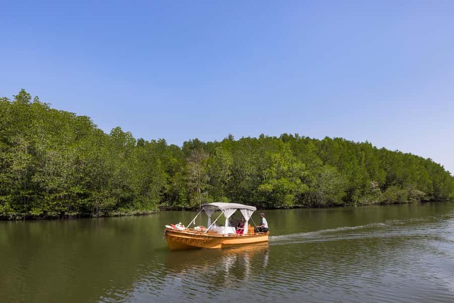 Krabi Private Gondola Cruise with Lunch and Picnic - Through the mangrove tunnel and into open water