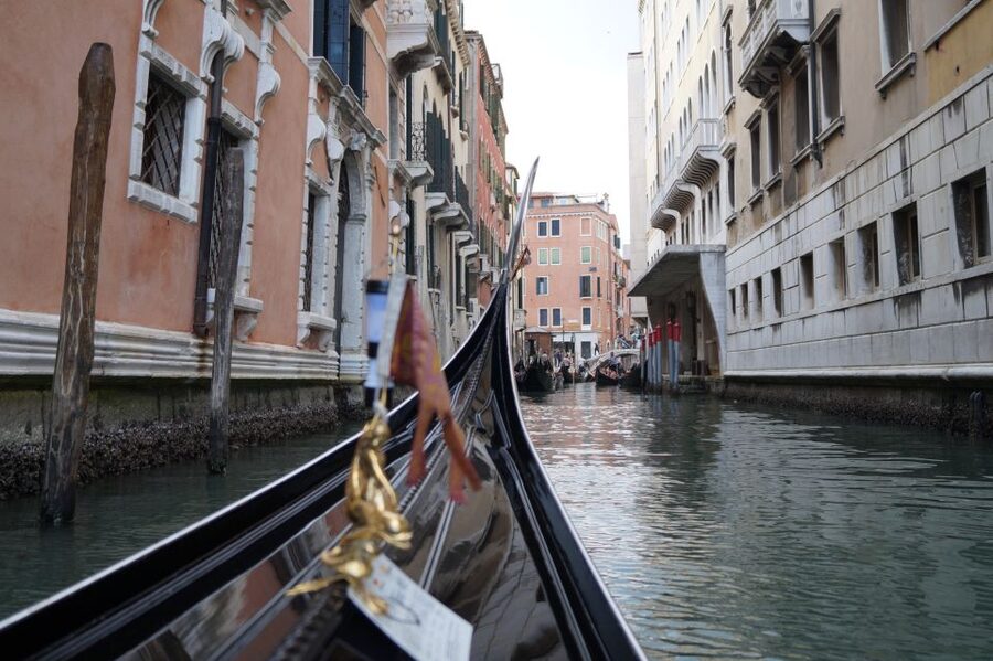Tour of Doge's Palace and Gondola Ride - Who will get the most from this experience