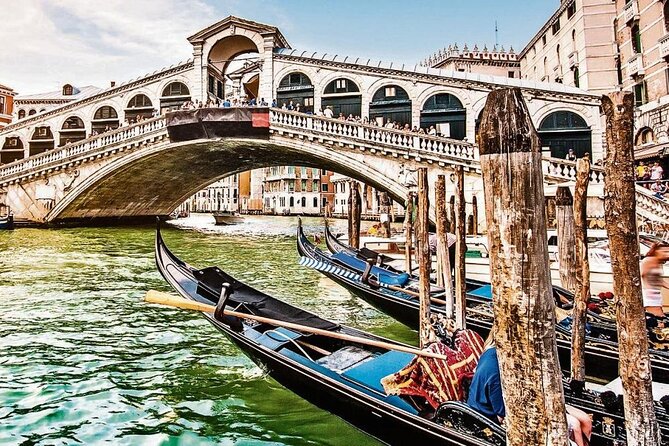 Venice: Enchanting City Walk & Majestic Gondola Glide! - Rialto Bridge from the Grand Canal