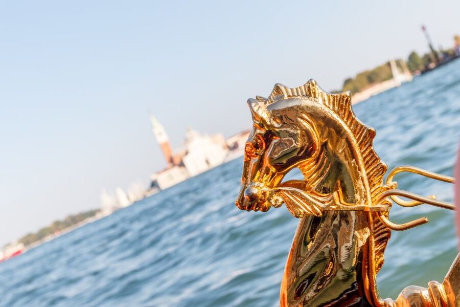 Venice: Traditional Shared Gondola Ride - Should you book the shared gondola?